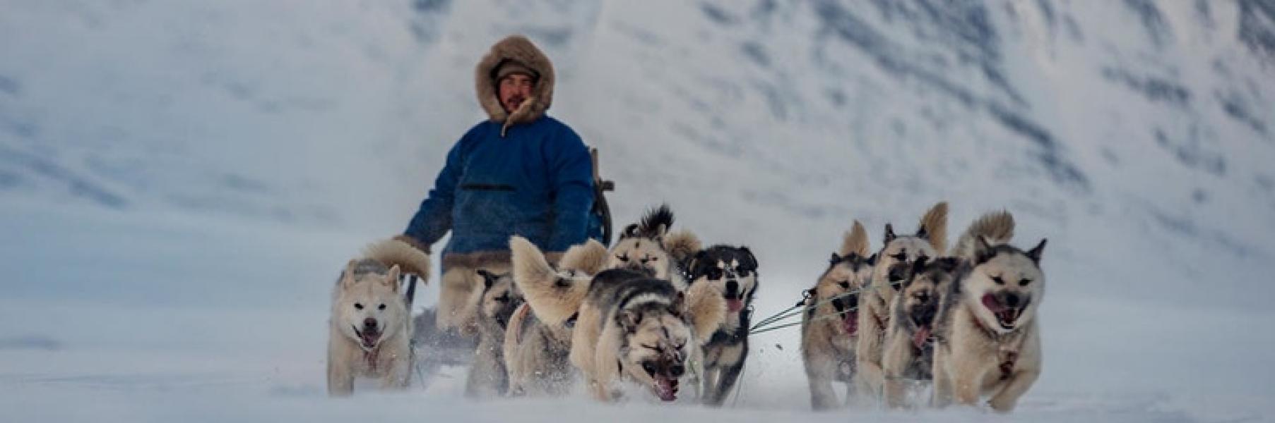WWF Verdensnaturfonden logo